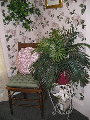 eveningsong022-000.jpg